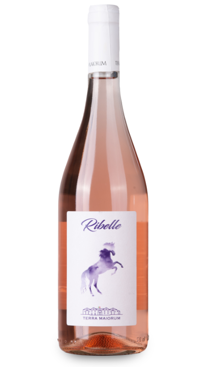 IL RIBELLE Bombino Nero I.G.P. Puglia Bottiglia da 75 cl
